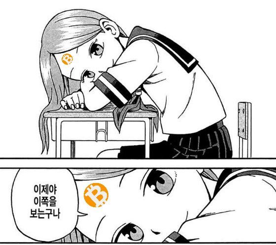 BTC다 잃은 초계국수 tweet media