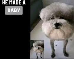 biggest jerk keas (18 days til luke day) ๐ช๐ tweet media