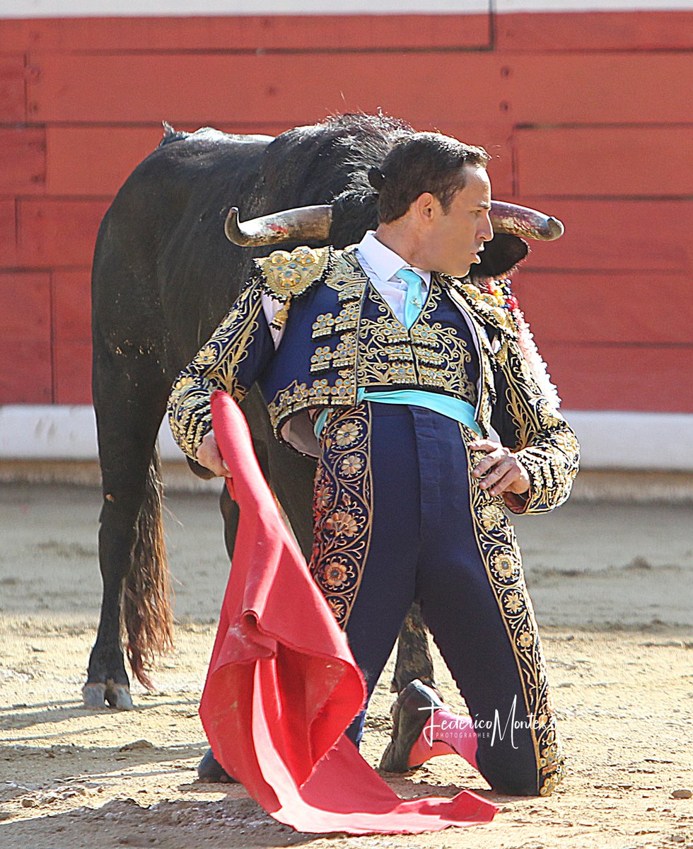 fronteraenlaweb's tweet photo. #09Abr | Rafael Orellana persiste en su afán de volver al toro… https://t.co/gicqE0sQs0 | #Entretenimiento https://t.co/xg2CAeSUza