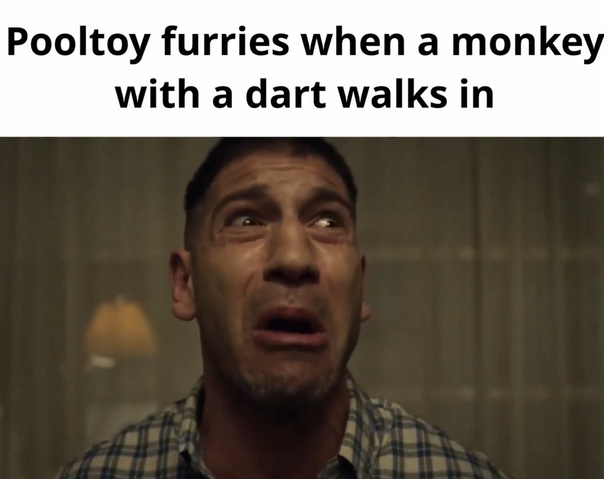 Furry memes tweet media