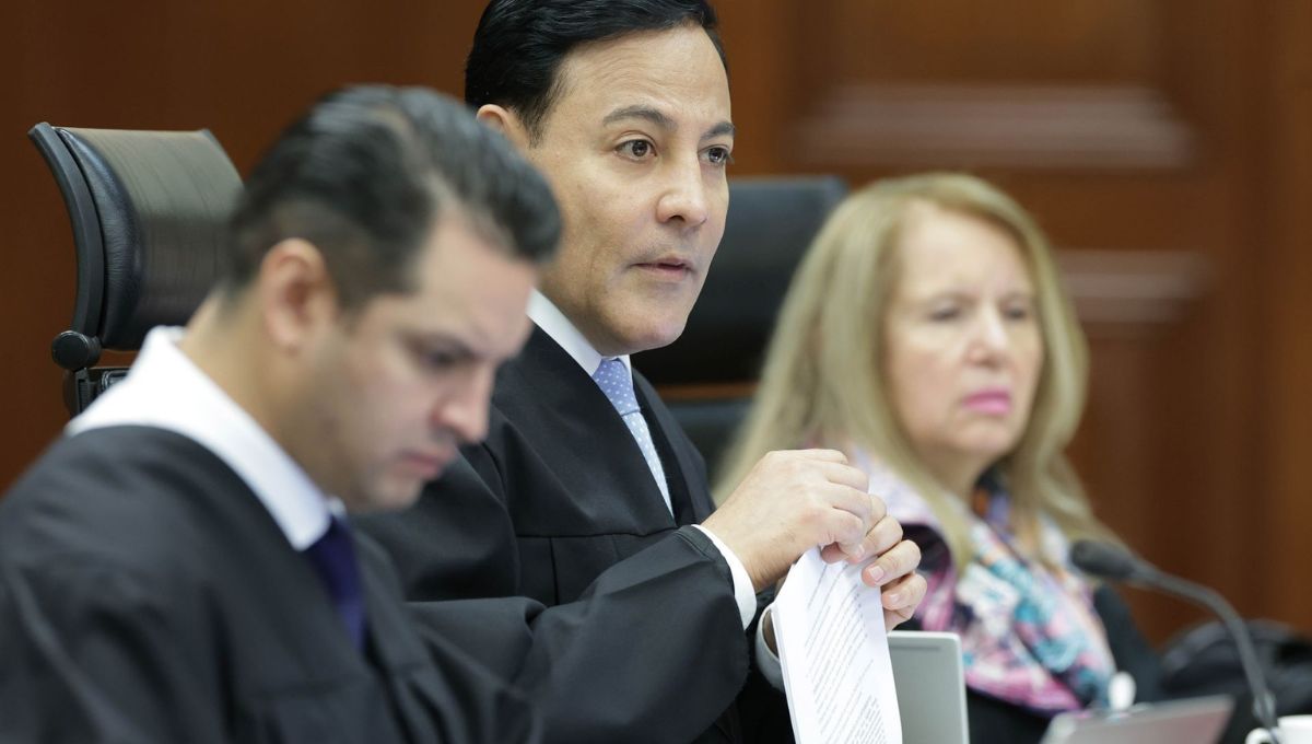 El Mundo del Derecho tweet media