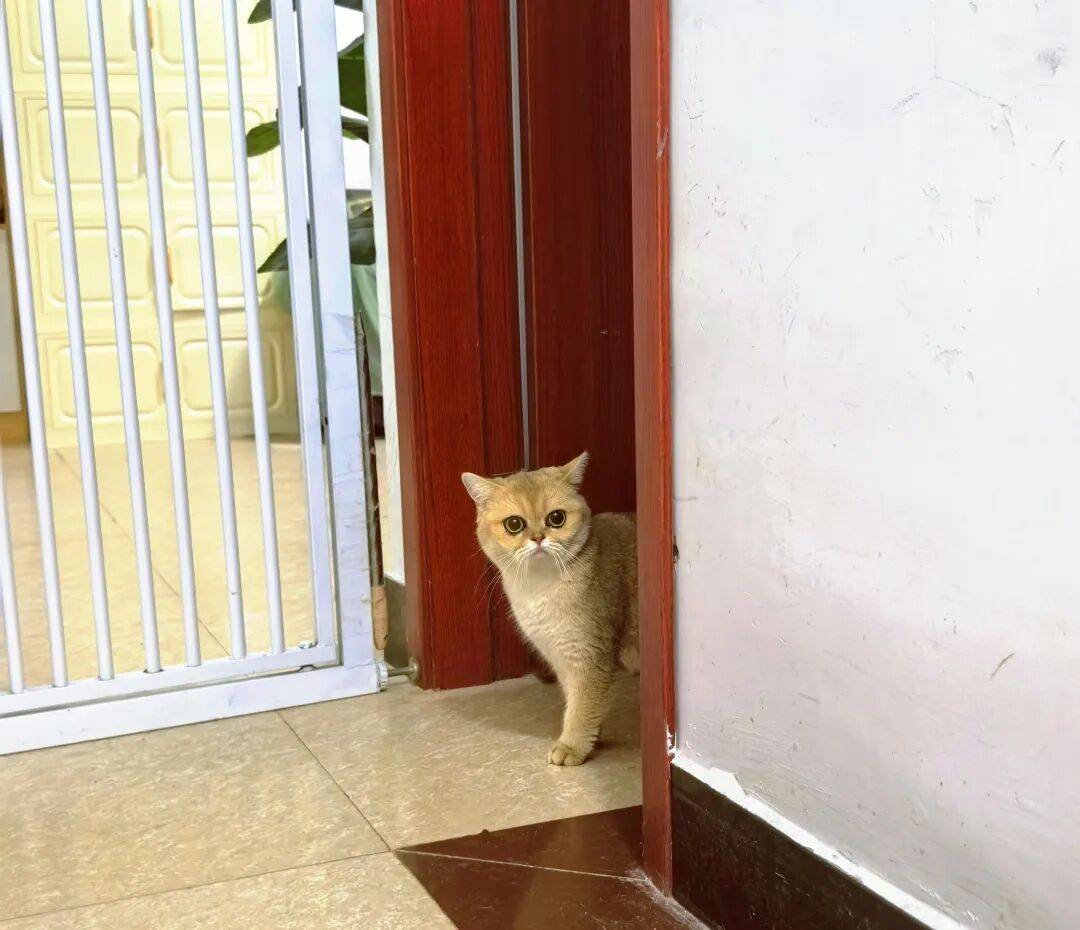 BOUBESLA MOHAMMED tweet media