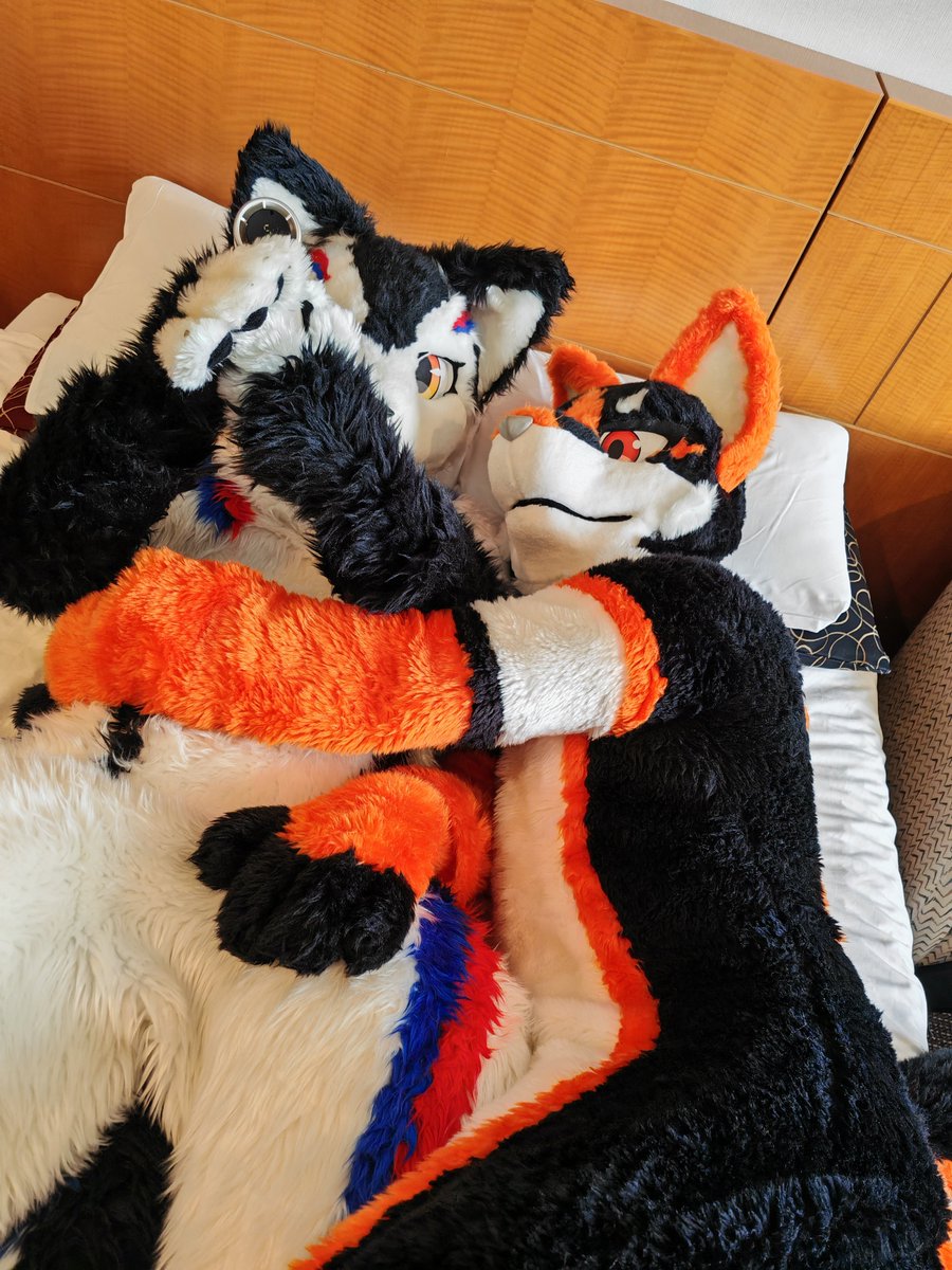 わちゃわちゃ
#FursuitFriday