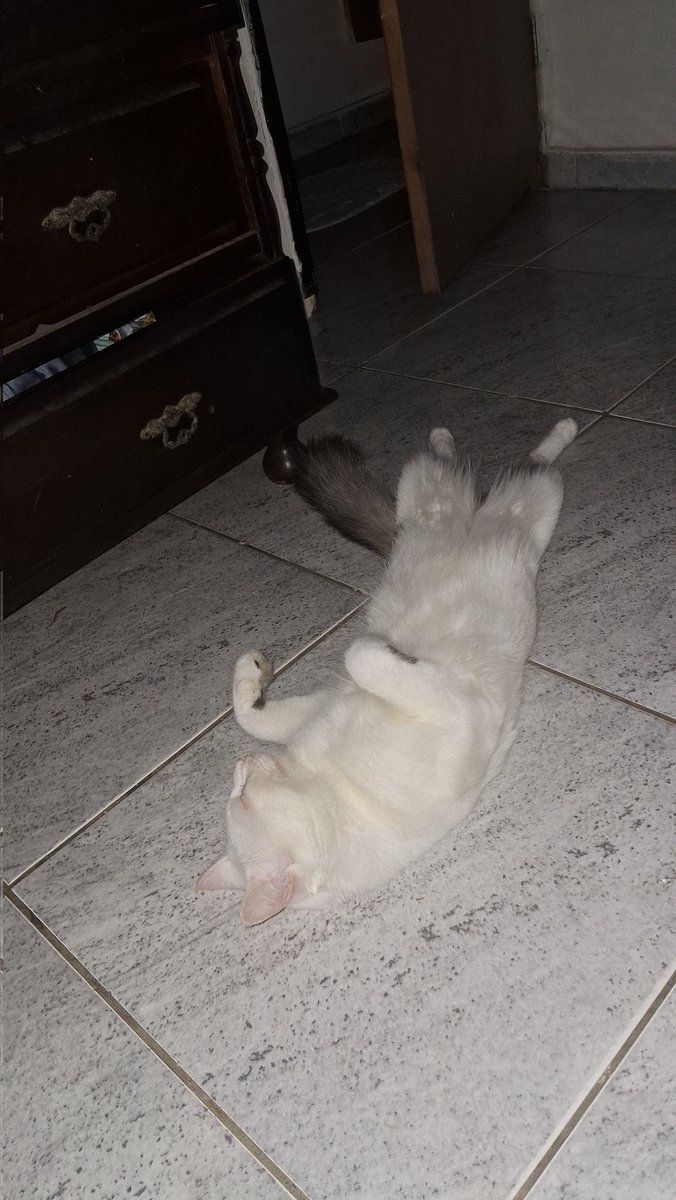 🅜🅐🅡🅒🅤🅢🅕🅤🅡🅘🅐🇾🇪🎣🤘 tweet media