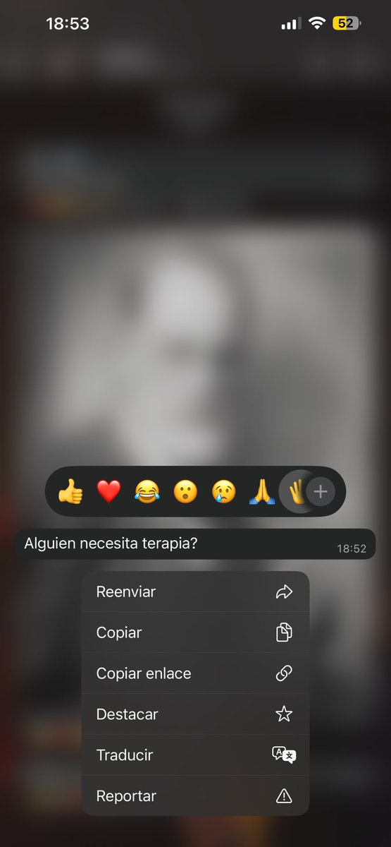 la dueña de campos eliseos tweet media