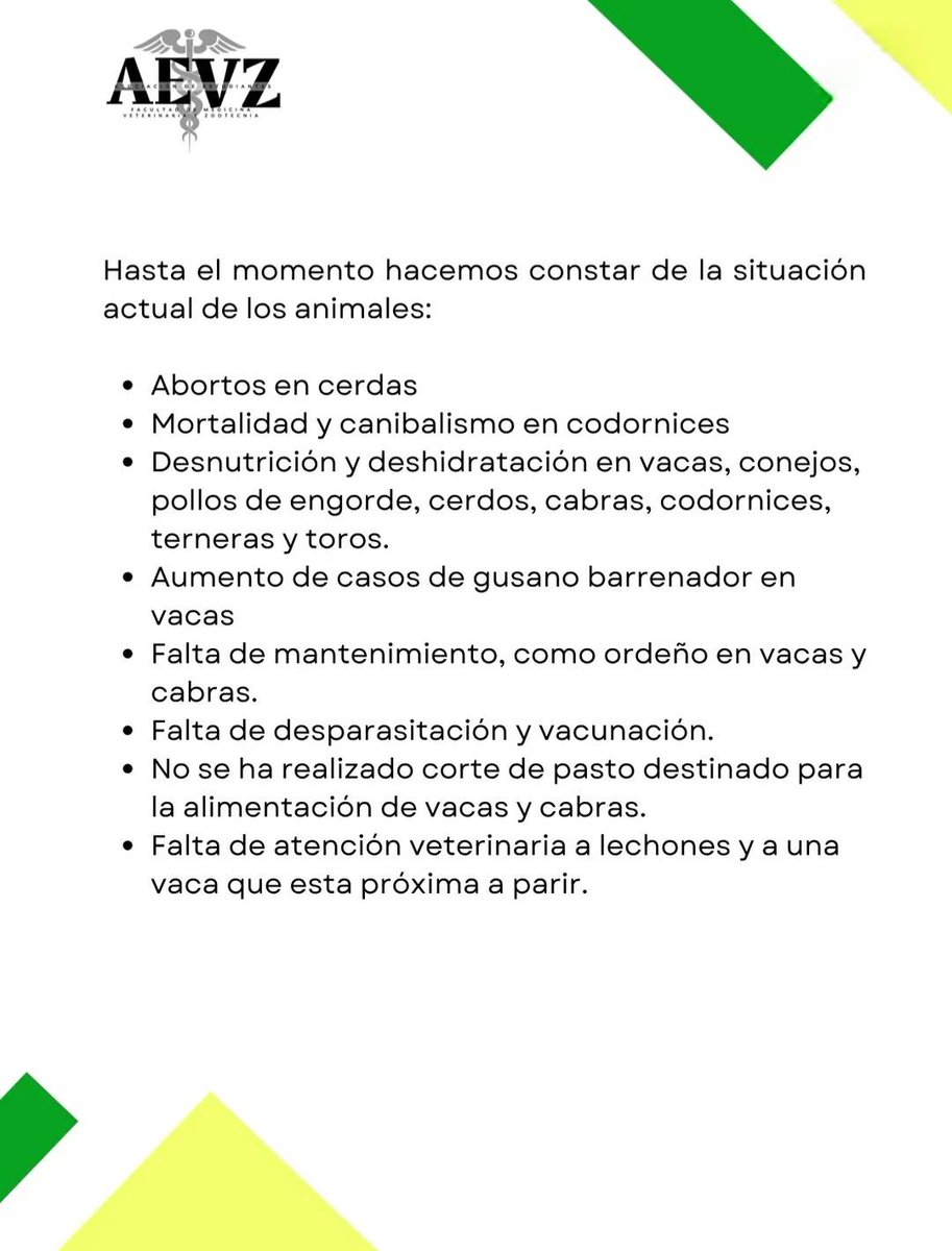 PrensaComunitar's tweet photo. #FraudeUSAC | 🐐 La vida de los animales en la USAC está en riesgo

La Asociación de Estudiantes de la Facultad de Medicina Veterinaria y Zootecnia "Emil Bustamante", denunciaron la condición "precaria" de los animales en la Granja Experimental como consecuencia del cierre arbitario de la USAC, lo que impide que los animales reciban atención y cuidados. 

📸 AEVZ Emil Bustamante