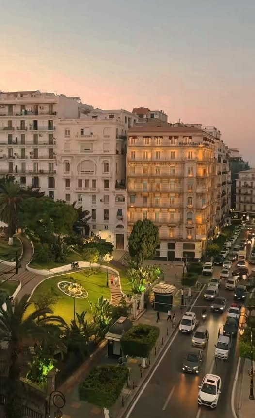 serkhas-mourad tweet media