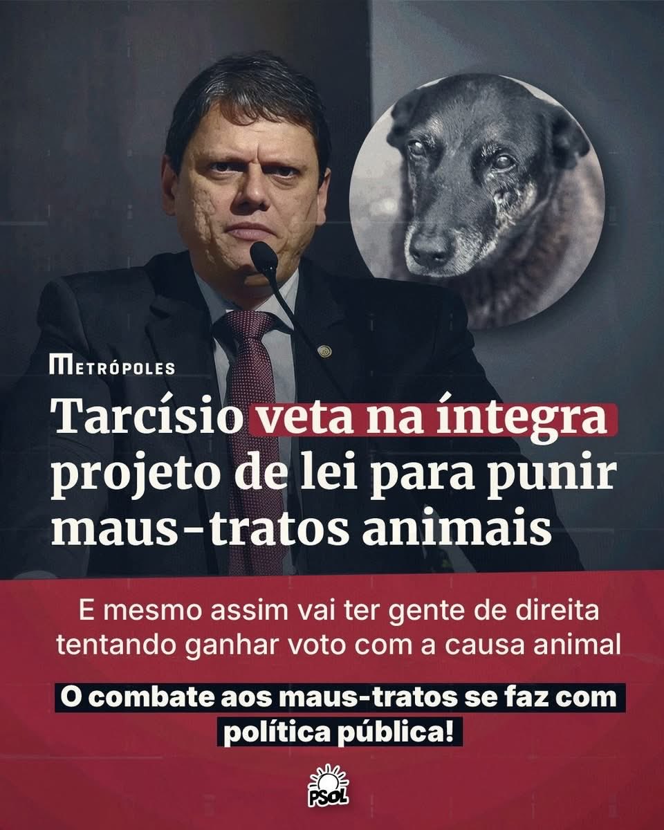 Harlen Carvalho tweet media