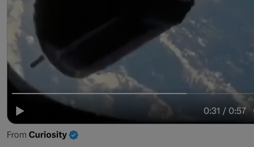 Lisa Long ⭐️❤️🔥 tweet media