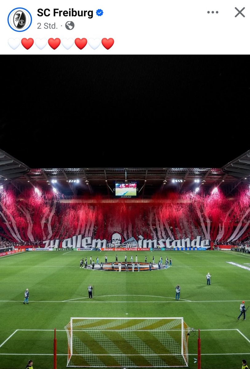 Sabine Trit🐈🏒⚽️ tweet media