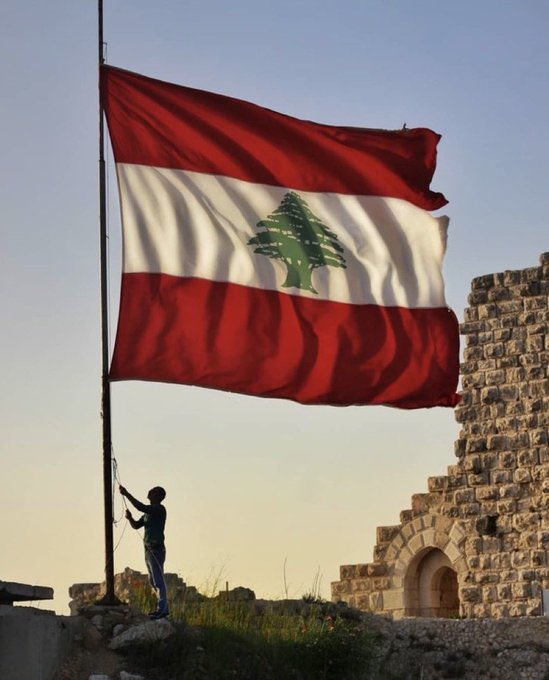 NATURE✈️🌐 tweet media