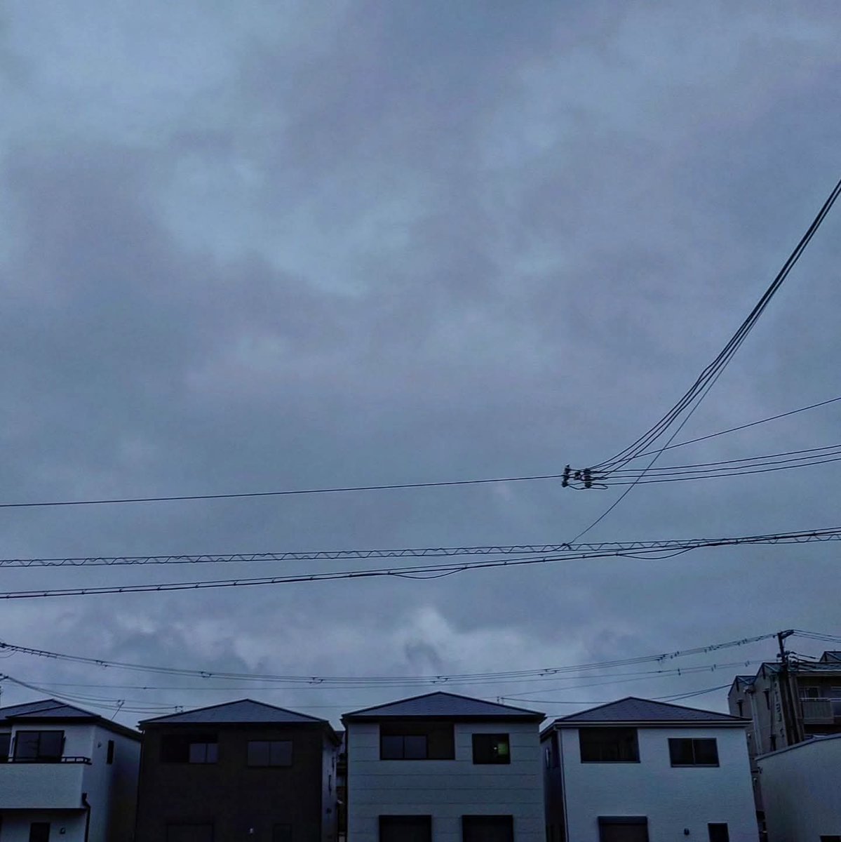 kumakuma tweet media