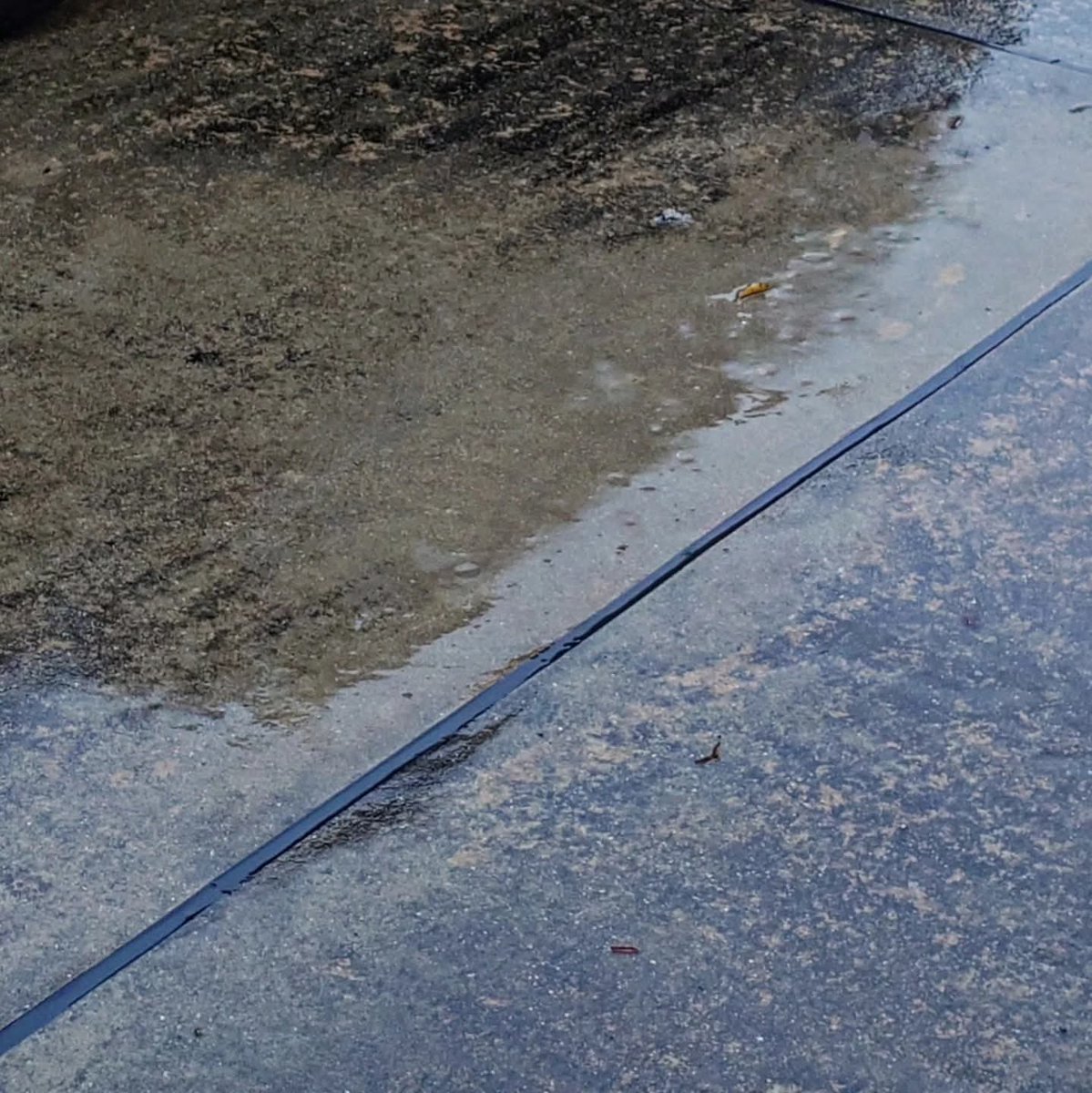 kumakuma tweet media