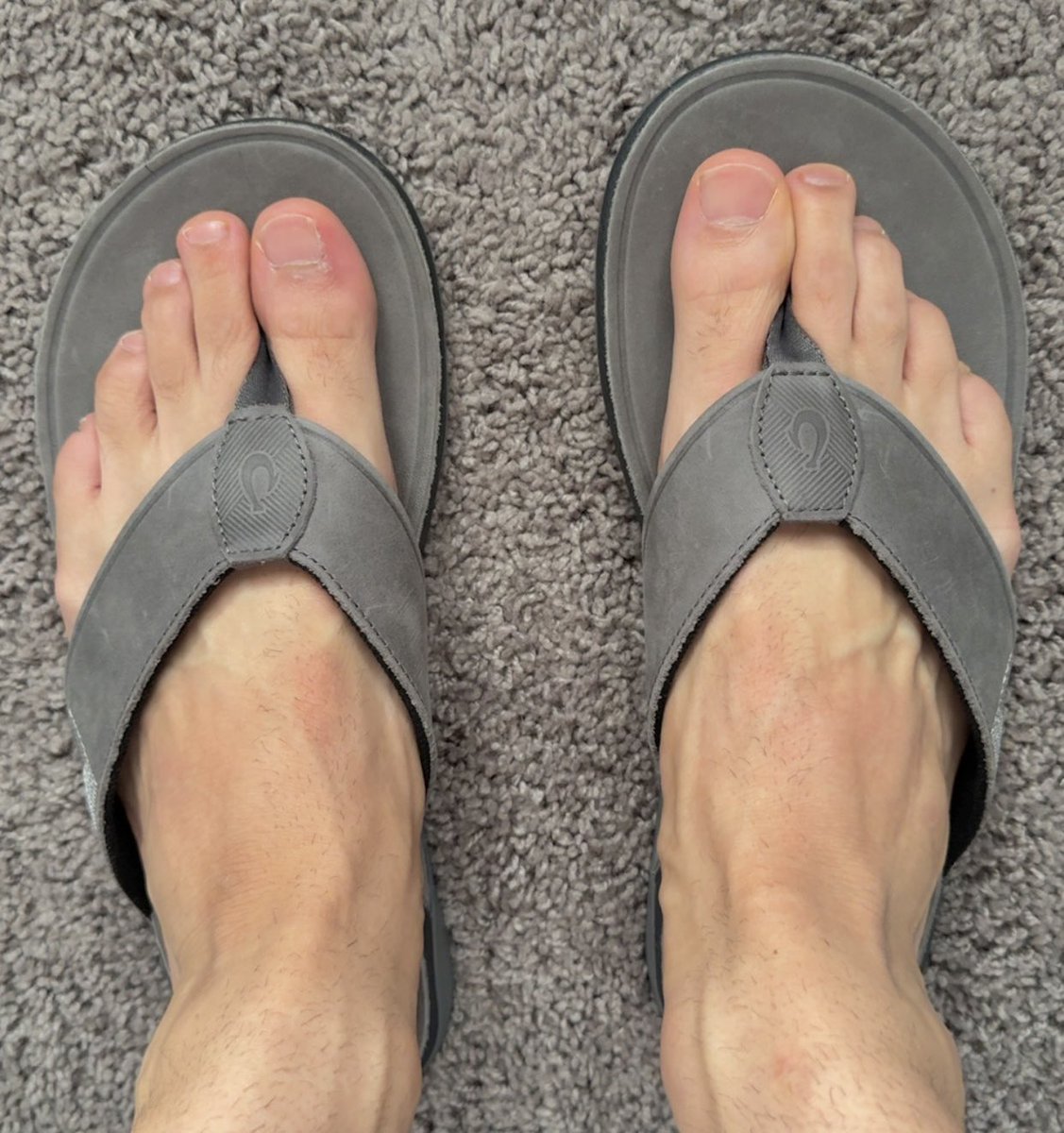 Hung Stud tweet media