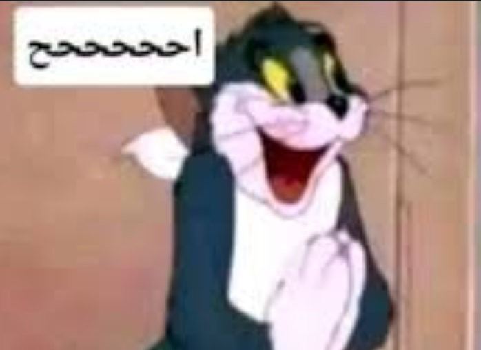 Musashi | 武蔵 tweet media