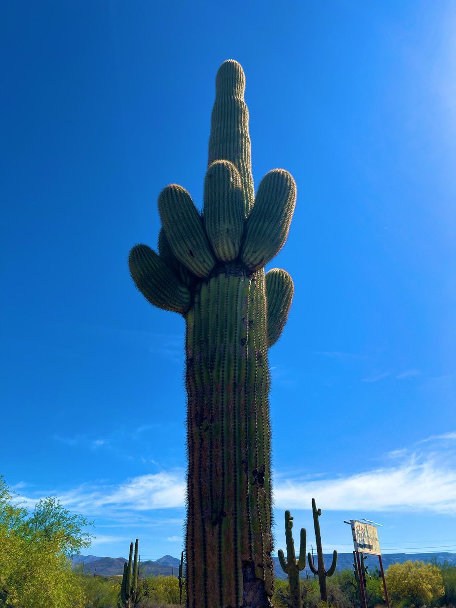 さんま@5y+2y tweet media