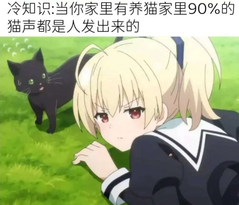 翅翅膀喵 tweet media