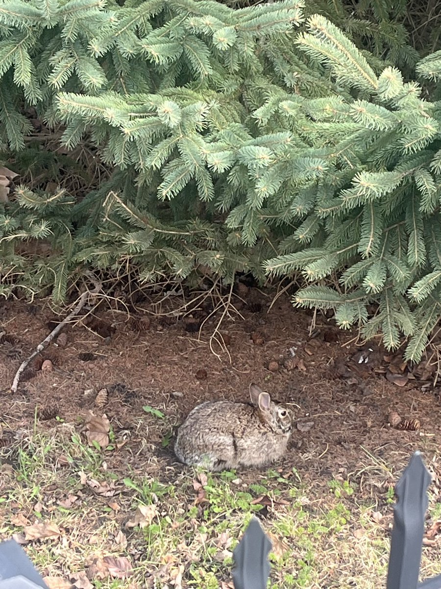 Patrick Boss 200 🐁 🪤 tweet media