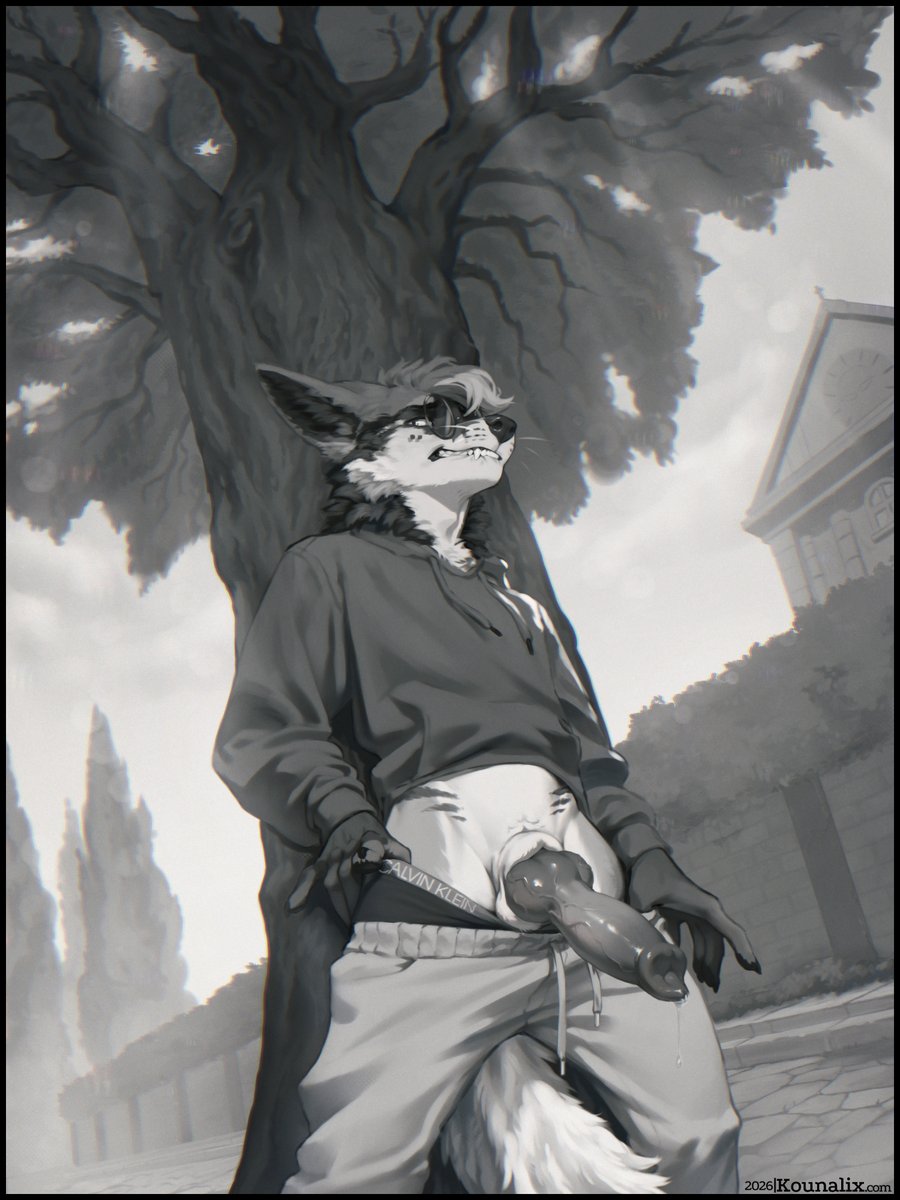 Kounalix 🐦 tweet media