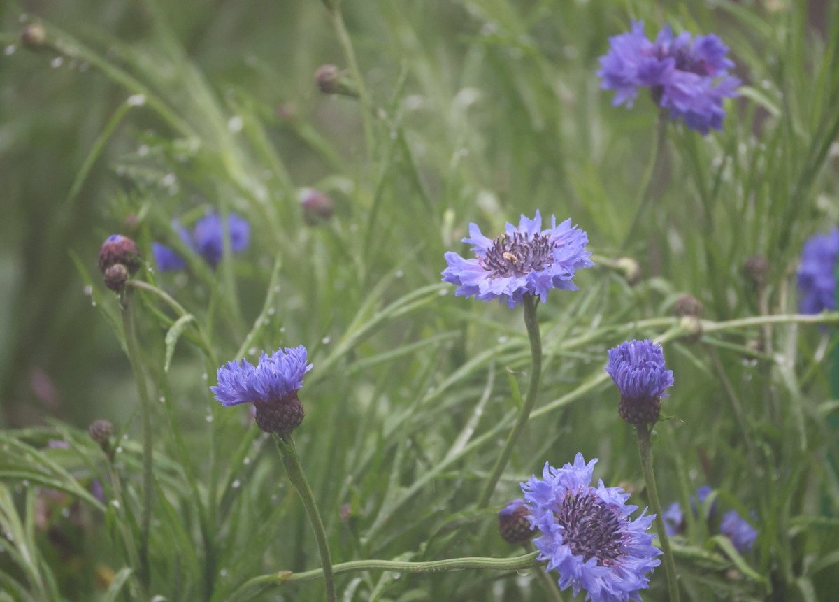 ☀masao❄ tweet media