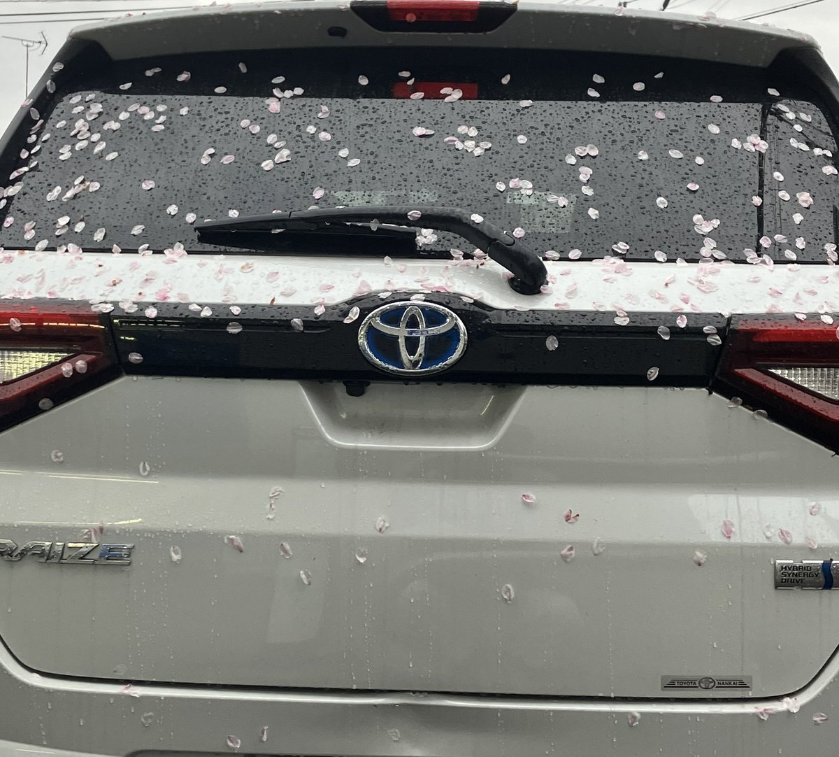 TMitume's tweet photo. 🌸まみれの🚗車。
#車
#桜 https://t.co/E7RaS2u2Kj