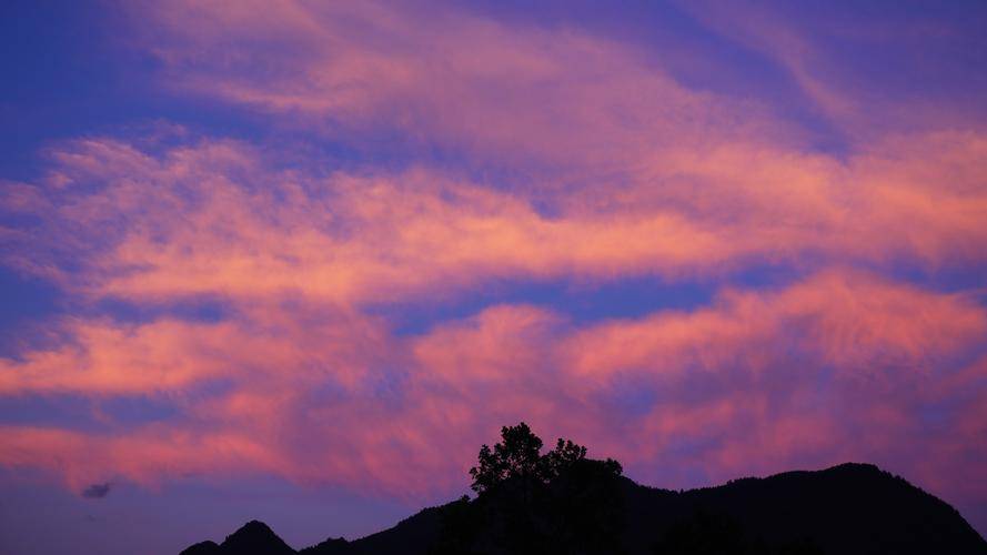 西岡健太 tweet media