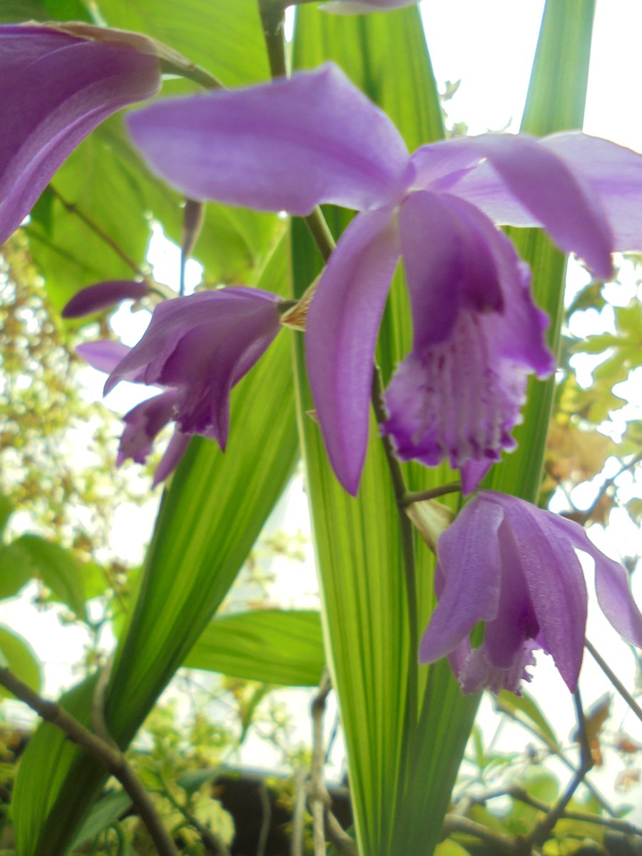 이근제 tweet media