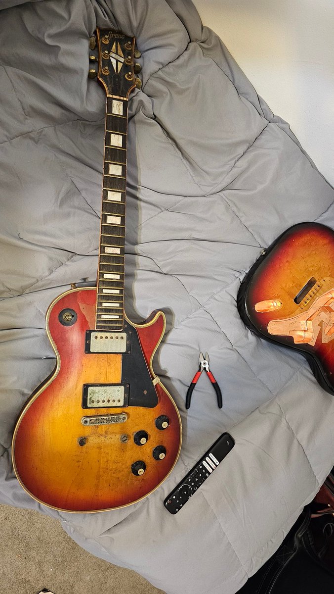 Cat Nihon tweet media