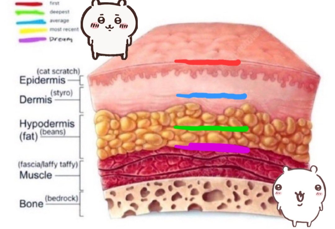 chiikawa ☆ミ shedtwt tweet media