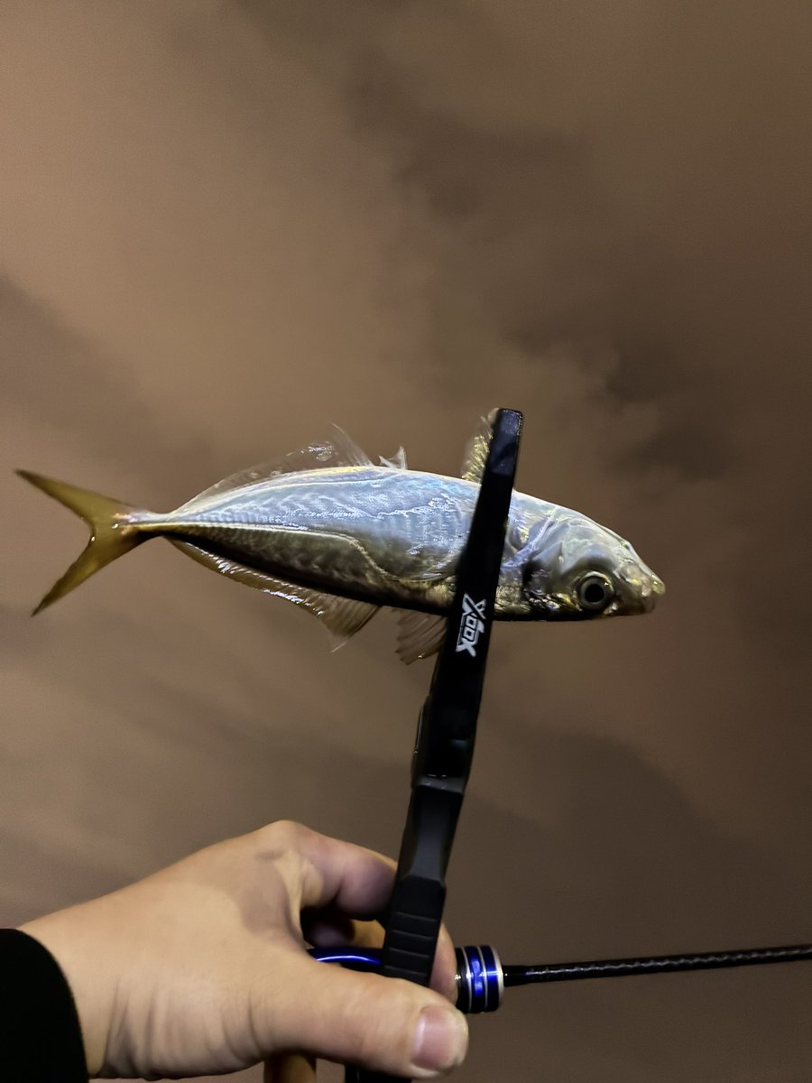 カモっちゃ(´ω`*) tweet media