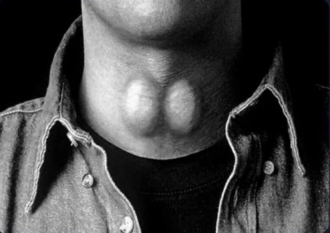 Nobody Knows tweet media