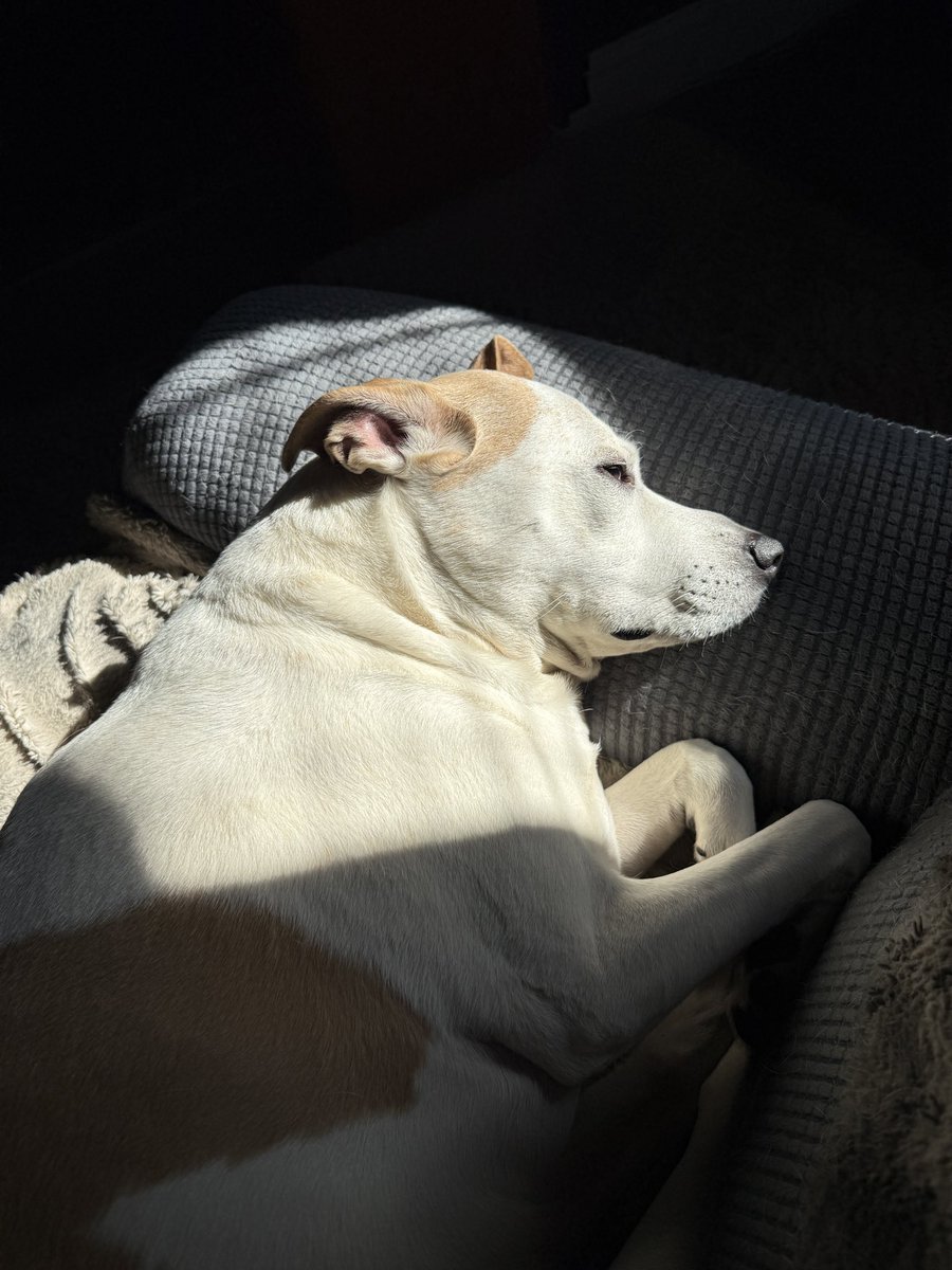 Jarett & Lilly tweet media