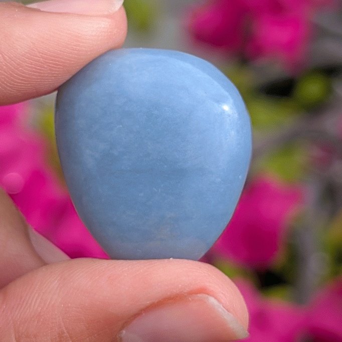 sparklelikezen's tweet photo. 𝓐𝓷𝓰𝓮𝓵𝓲𝓽𝓮 🪽
Soft, pale blue stone with an angelic presence 

Supports the upper chakras + air element 🌬️ 

Enhances spiritual connection, intuition &amp; gentle communication 🔊

A crystal for peace, clarity &amp; divine messages 📬 https://t.co/N3wizfjuZs