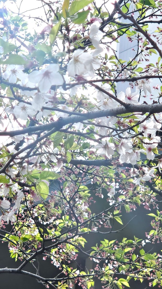 ゆか 👠 tweet media