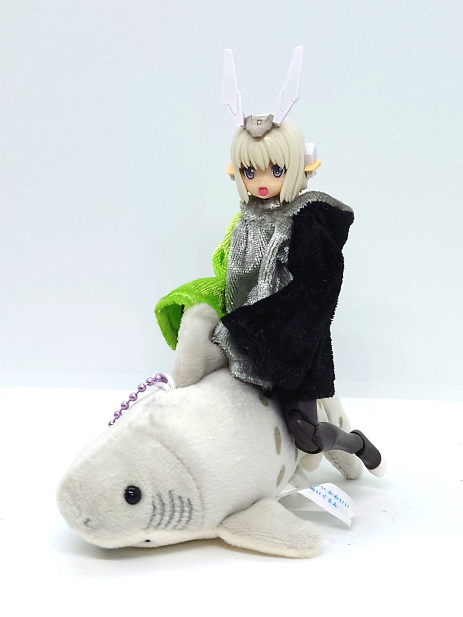 でうす@さめパ団団長🦈 tweet media