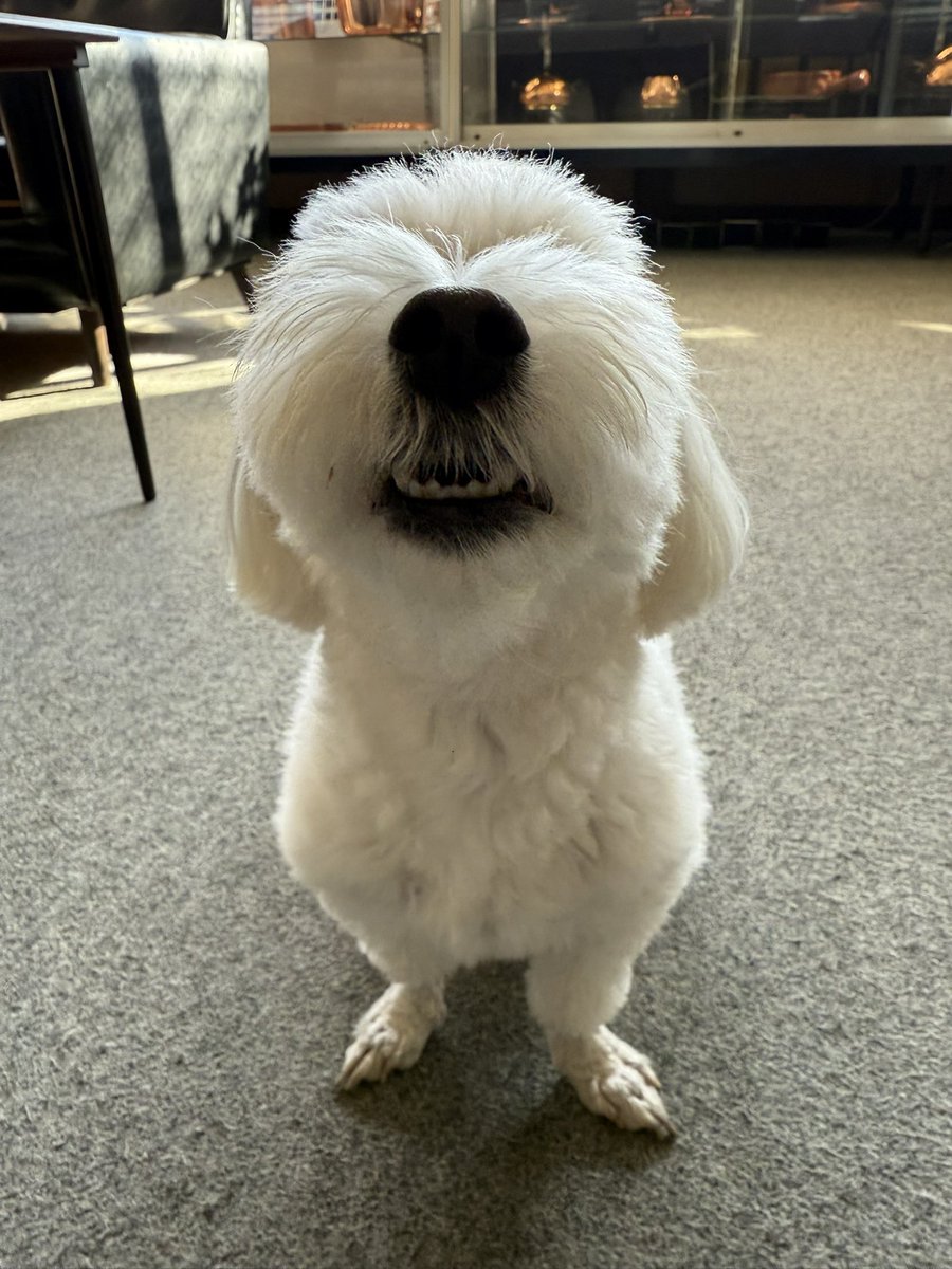 よーこ🔥 tweet media