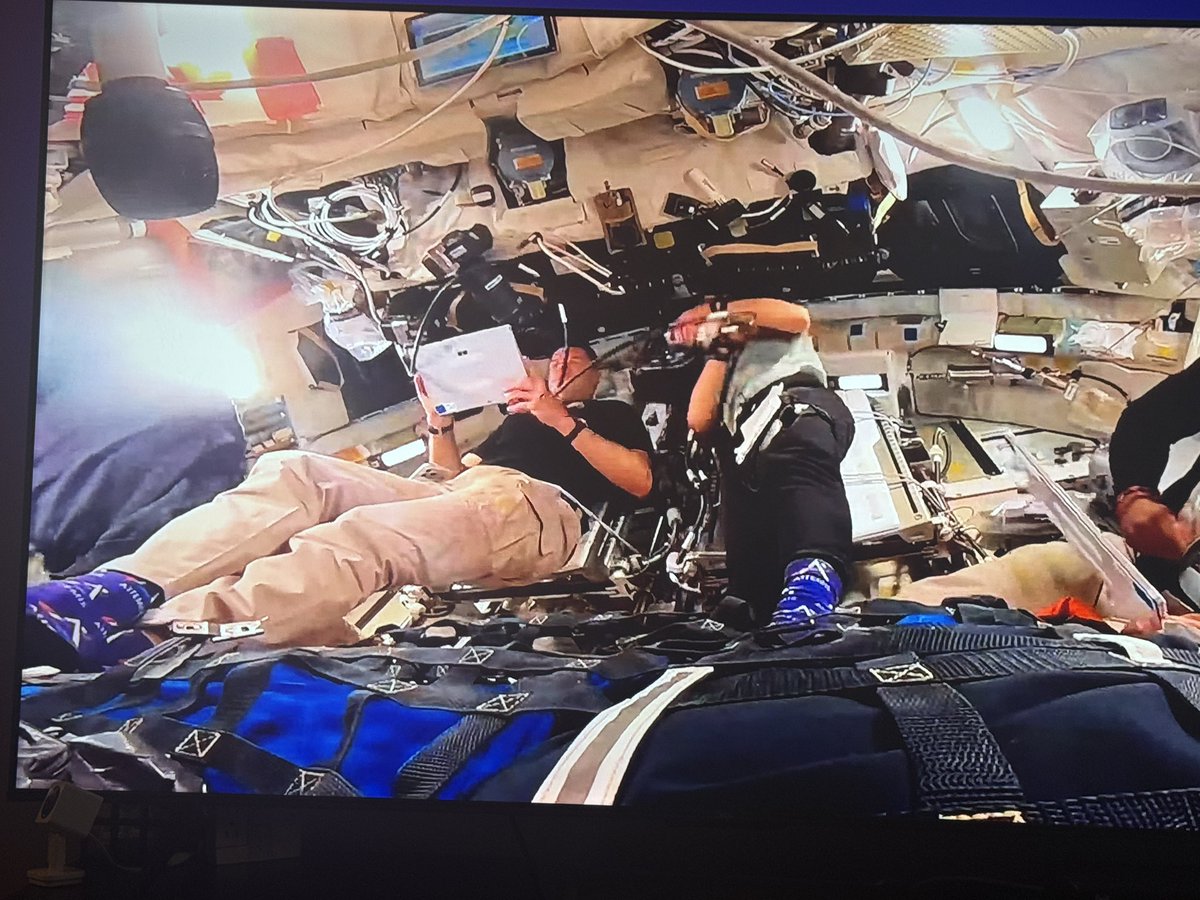 liestef's tweet photo. @NASAArtemis where can I get a pair of these awesome socks?🧦 https://t.co/rzc8leBViN