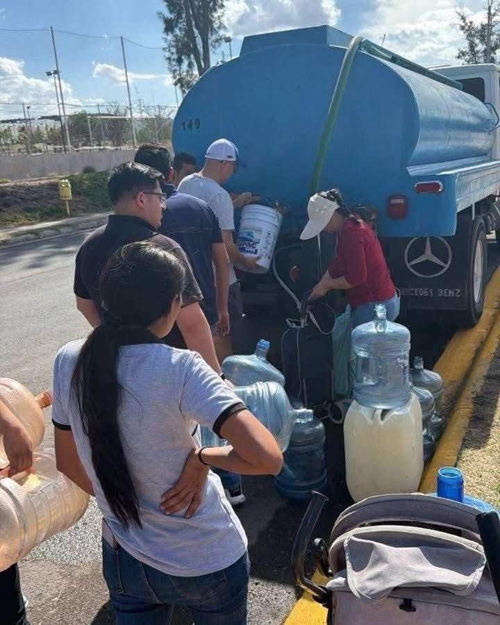 𝐀𝐯𝐬𝐞 𝐅𝐞𝐫𝐧𝐚𝐧𝐝𝐨 𝐅𝐥𝐨𝐫𝐞𝐬 tweet media