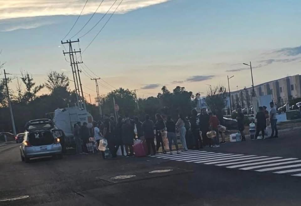 𝐀𝐯𝐬𝐞 𝐅𝐞𝐫𝐧𝐚𝐧𝐝𝐨 𝐅𝐥𝐨𝐫𝐞𝐬 tweet media