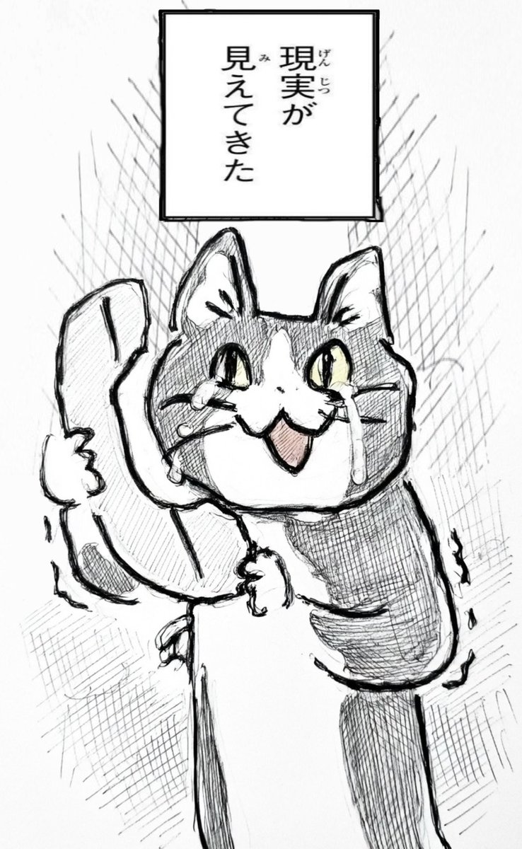 テキ屋猫 tweet media