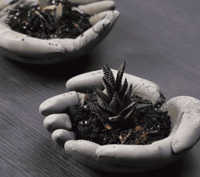 Emma Fullerton tweet media