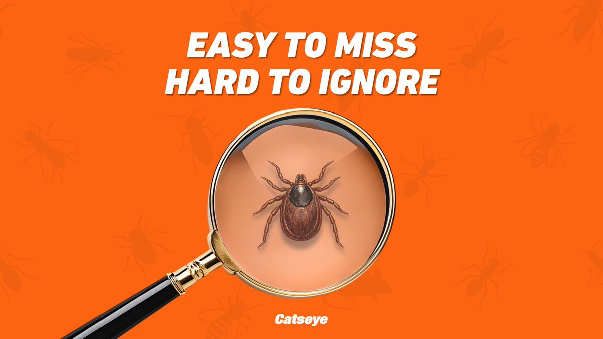 Catseye Pest Control tweet media