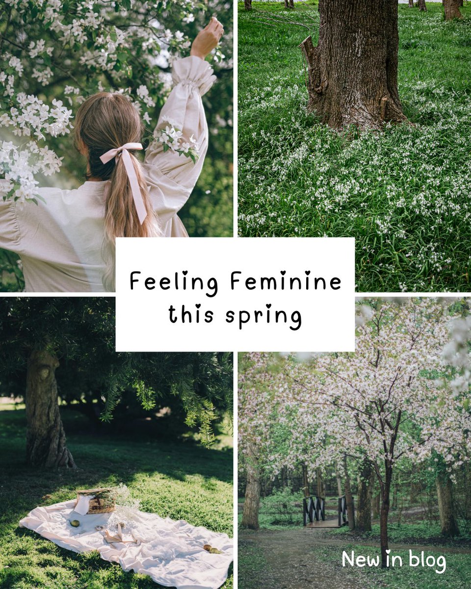 The Breast Form Store 🏳️‍⚧️ tweet media