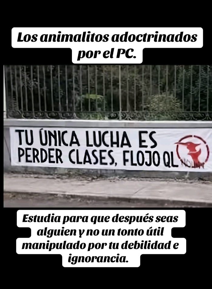 Lobofacho™ 🇨🇱 tweet media