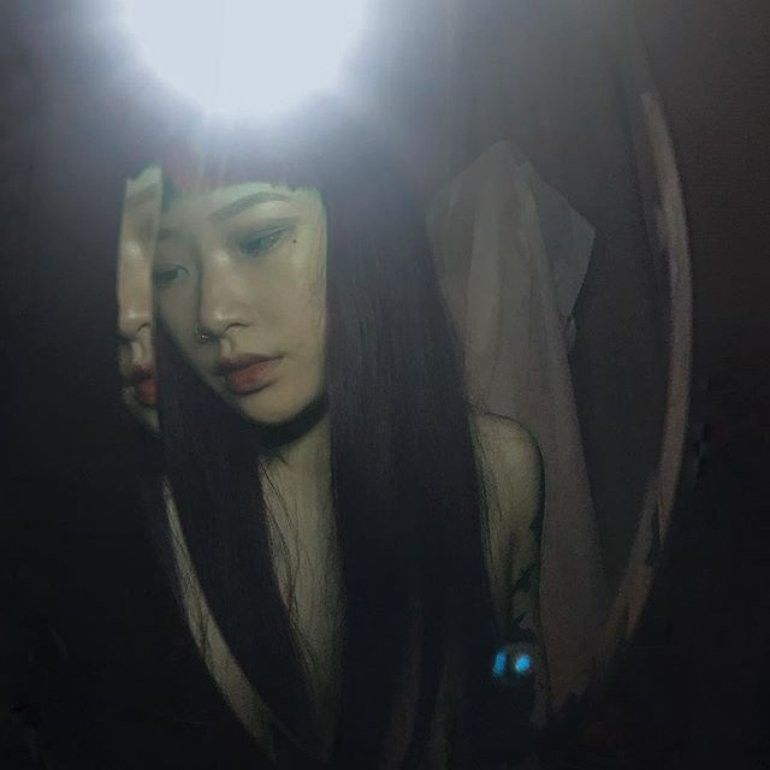 Dev ✧ Fan Account tweet media