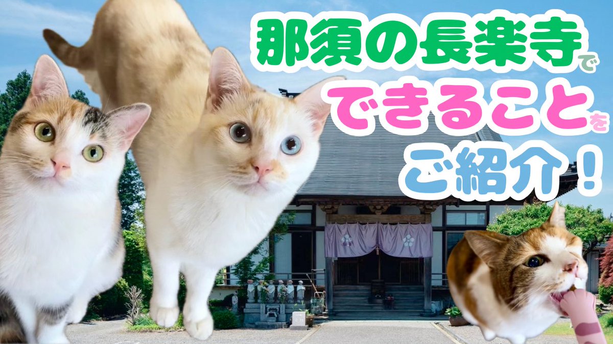 那須の長楽寺 tweet media