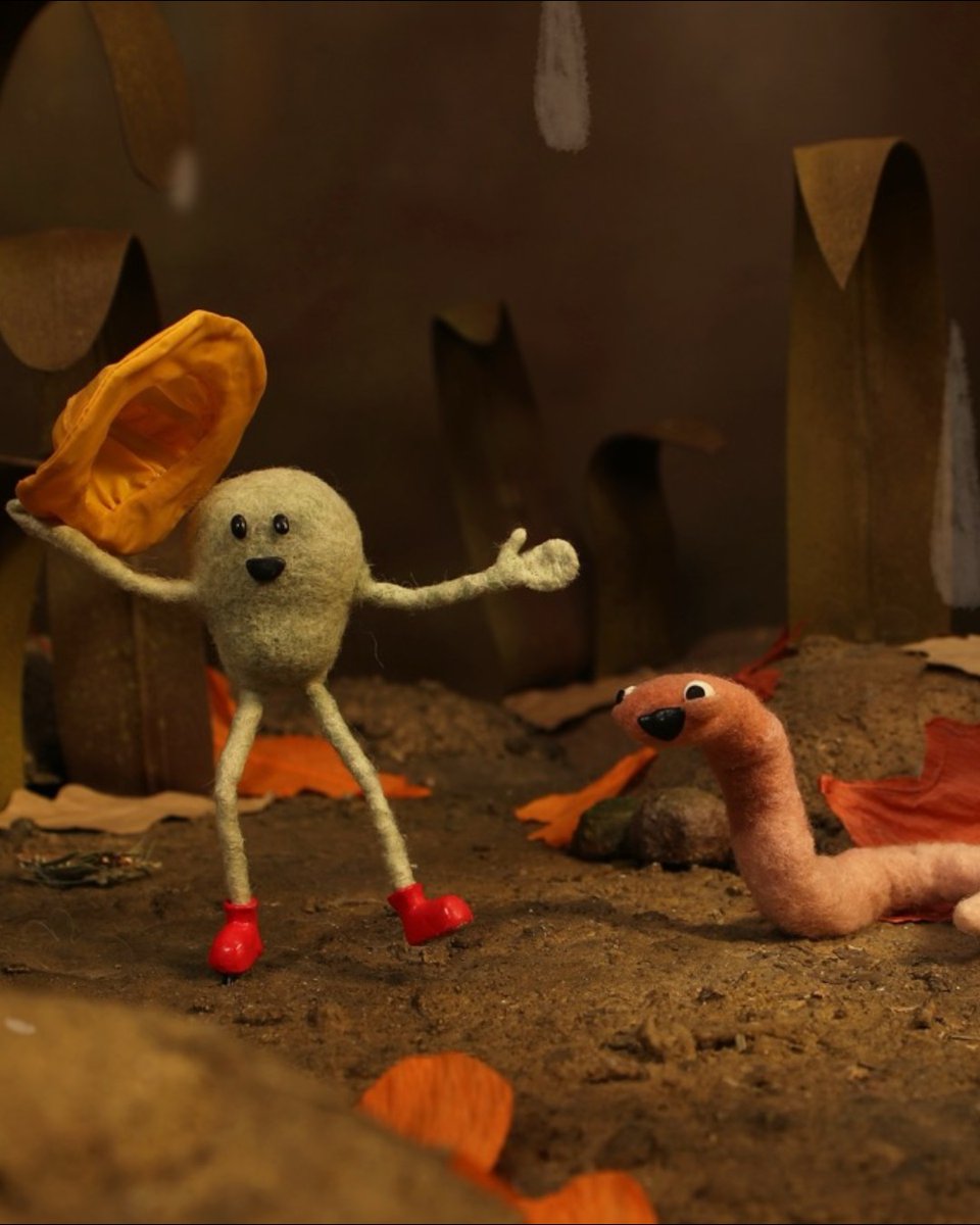 Maine Film Center tweet media