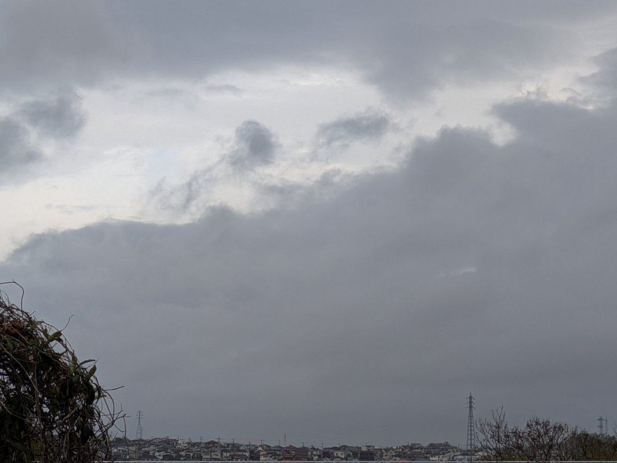 瑞雲ziun ELD55 tweet media