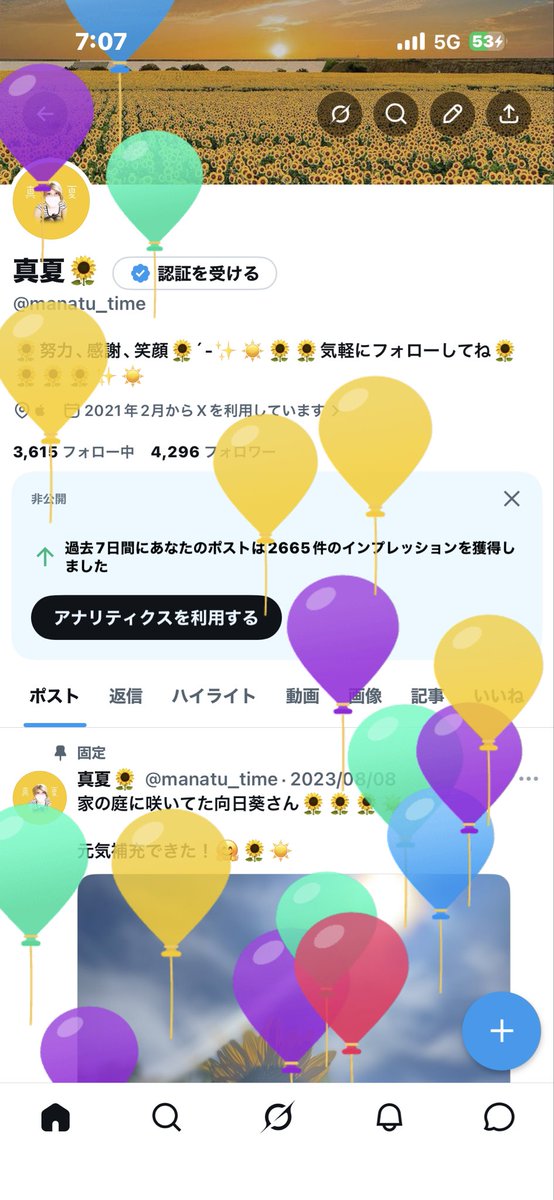 真夏🌻 tweet media