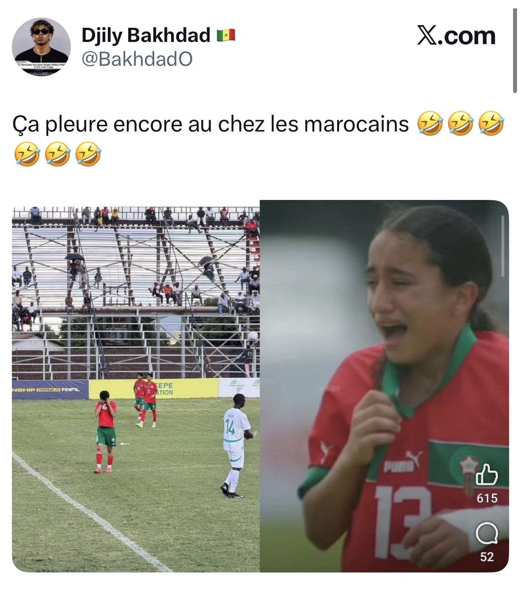 Le9emeSalopard tweet media